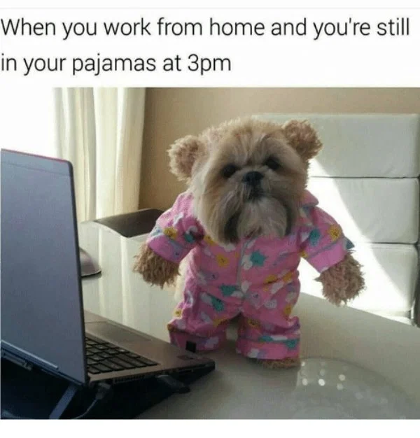 1587511661590.png