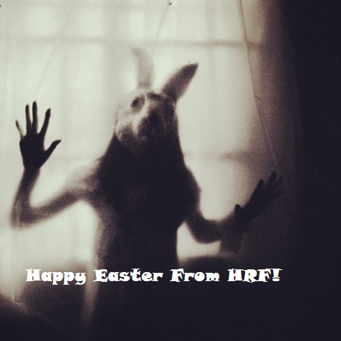 bunny.jpg