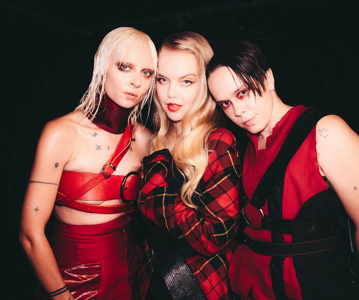 Dream Wife (all femme band)..jpg