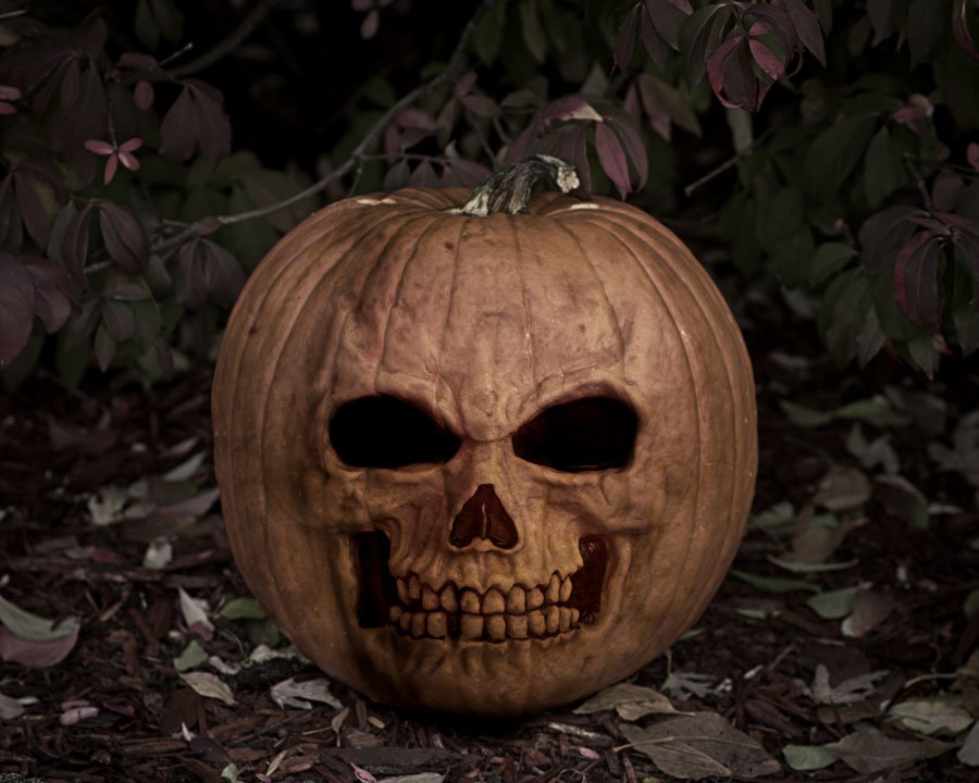 image.jpeg