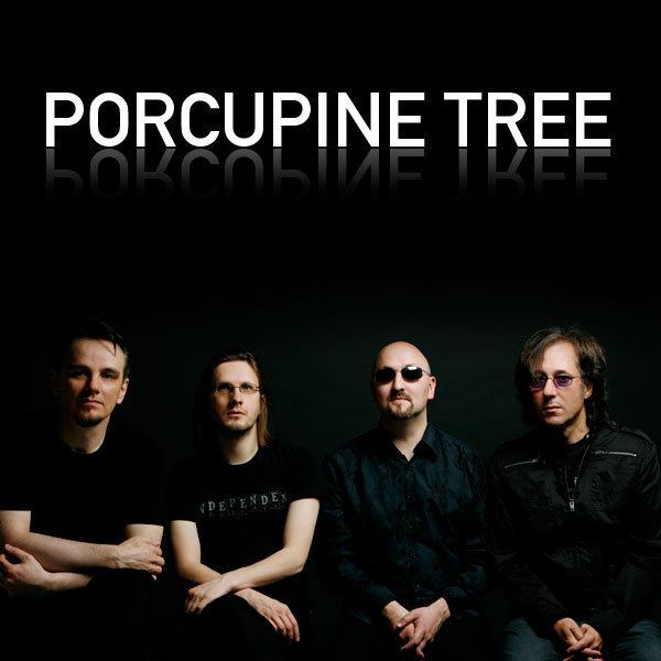 porcupine-tree-97f2cd3c-1135-412e-a57b-2455ec5576a-resize-750.jpg